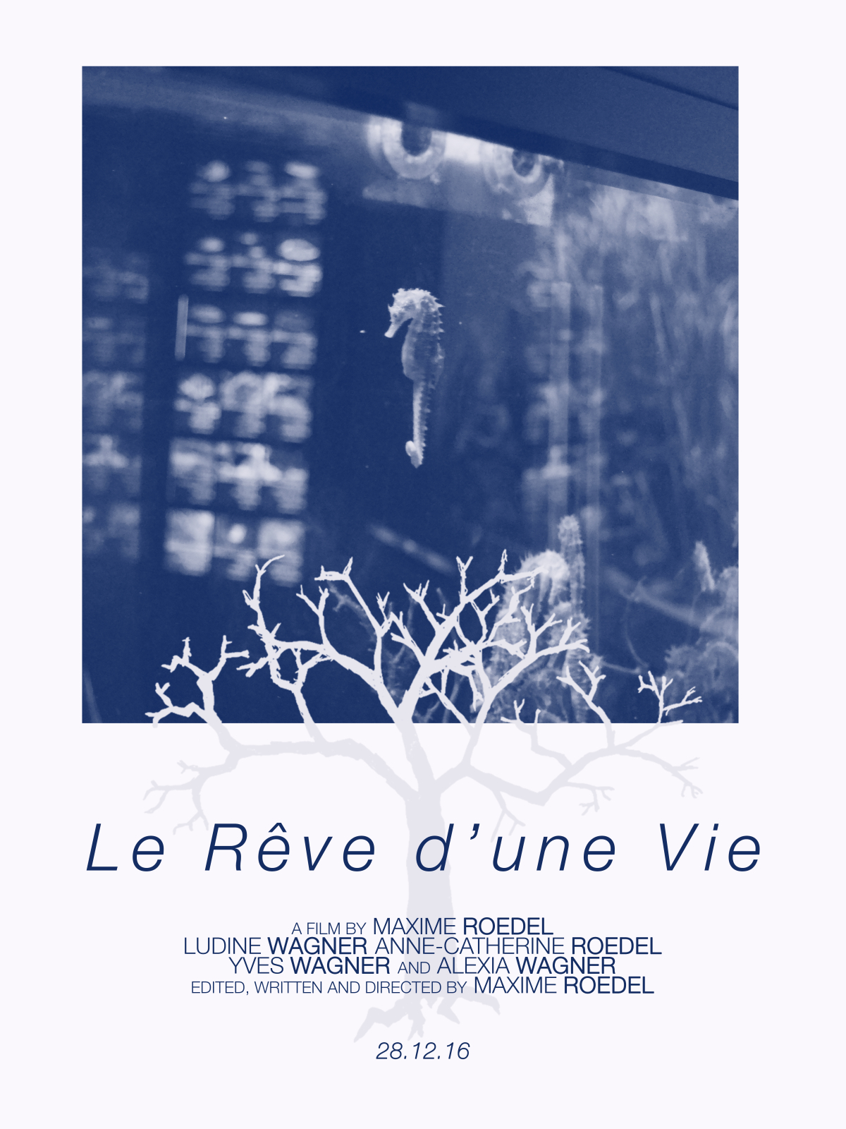 Le Reve d'une Vie