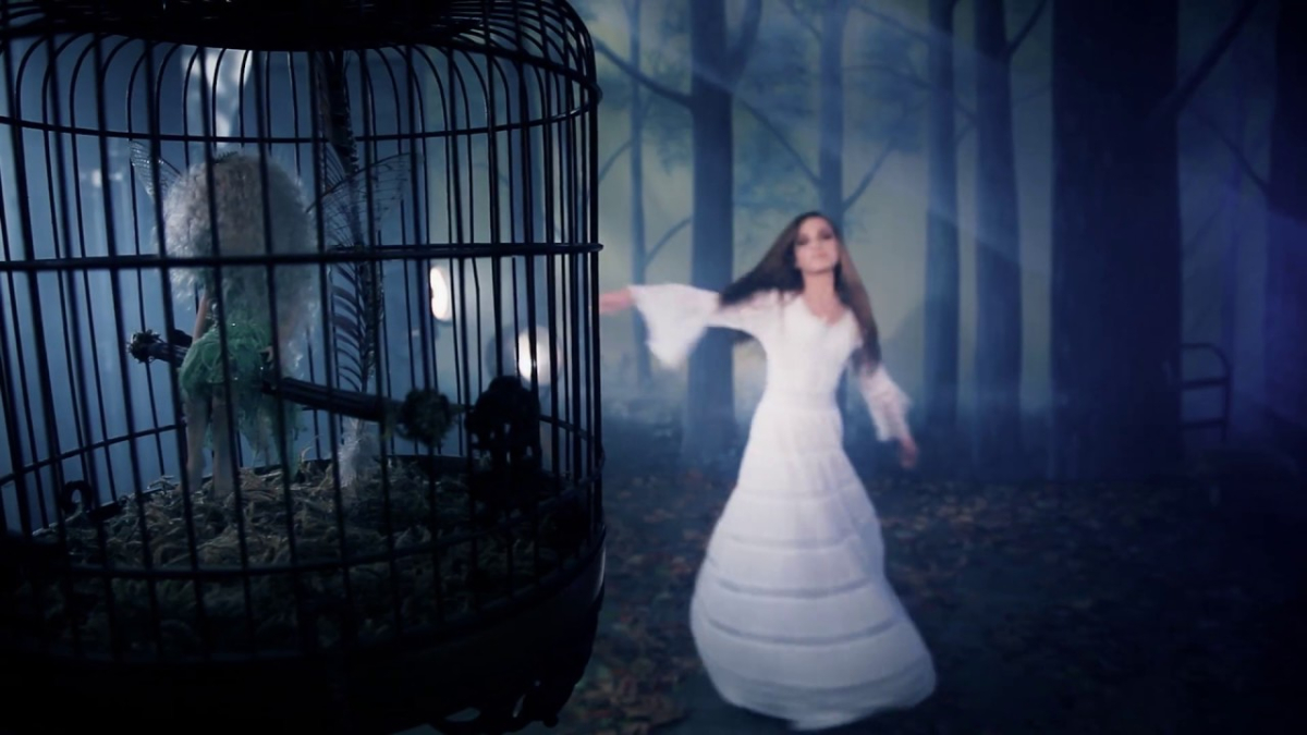 Stevie Nicks: Secret Love