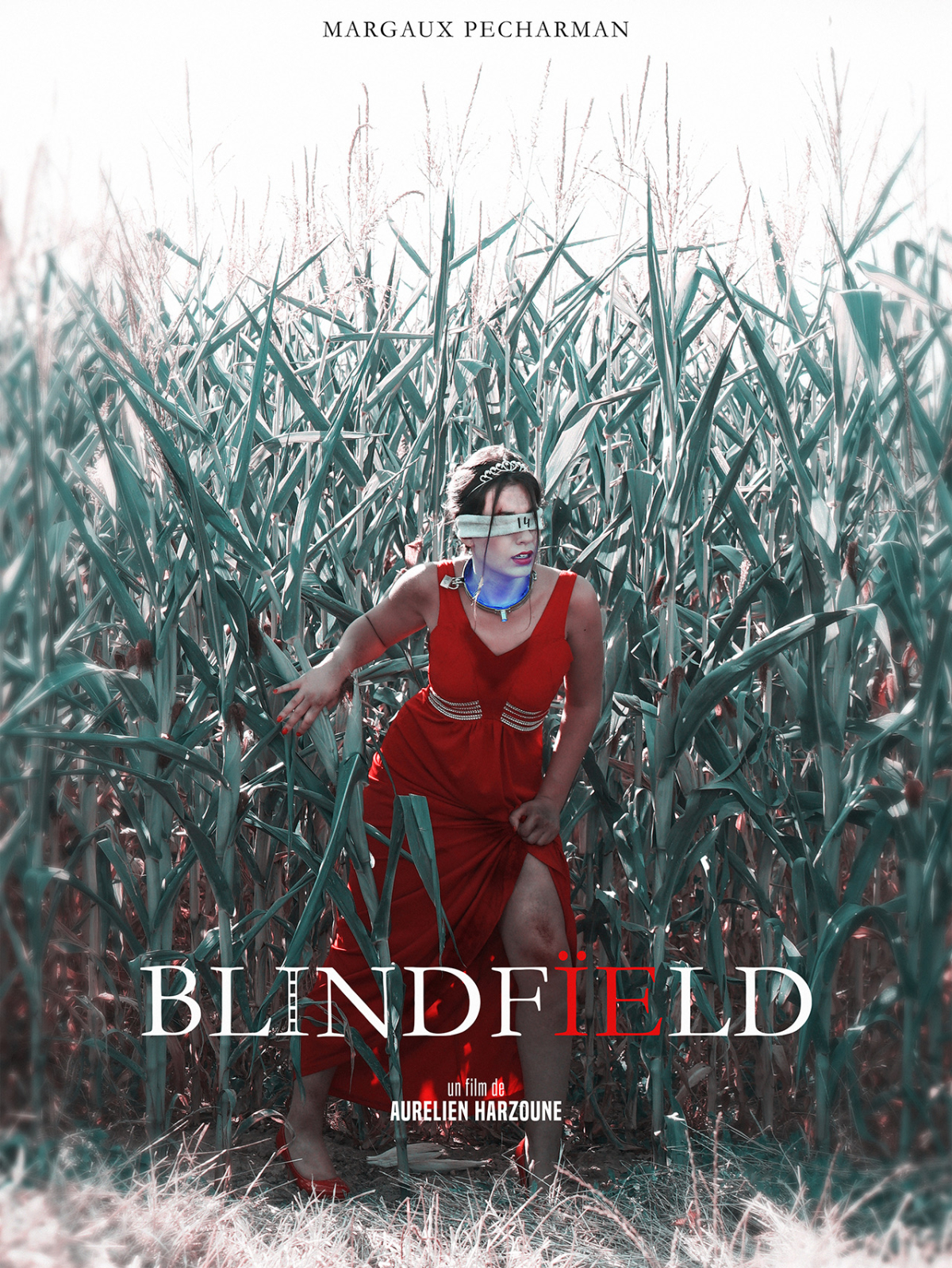 Blindfield
