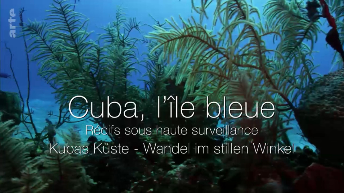 Cuba, l'ile bleue/verte