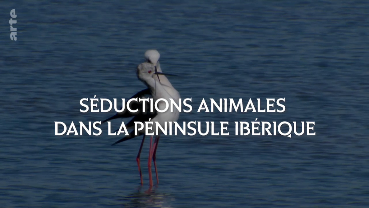 Iberia, a Land of Passions