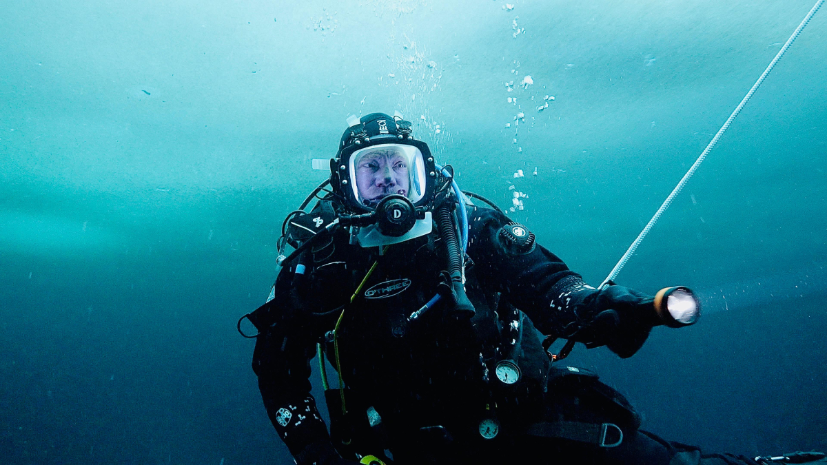 Steve Backshall's Royal Arctic Challenge