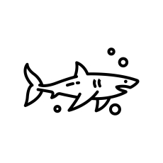Littlehaifisch