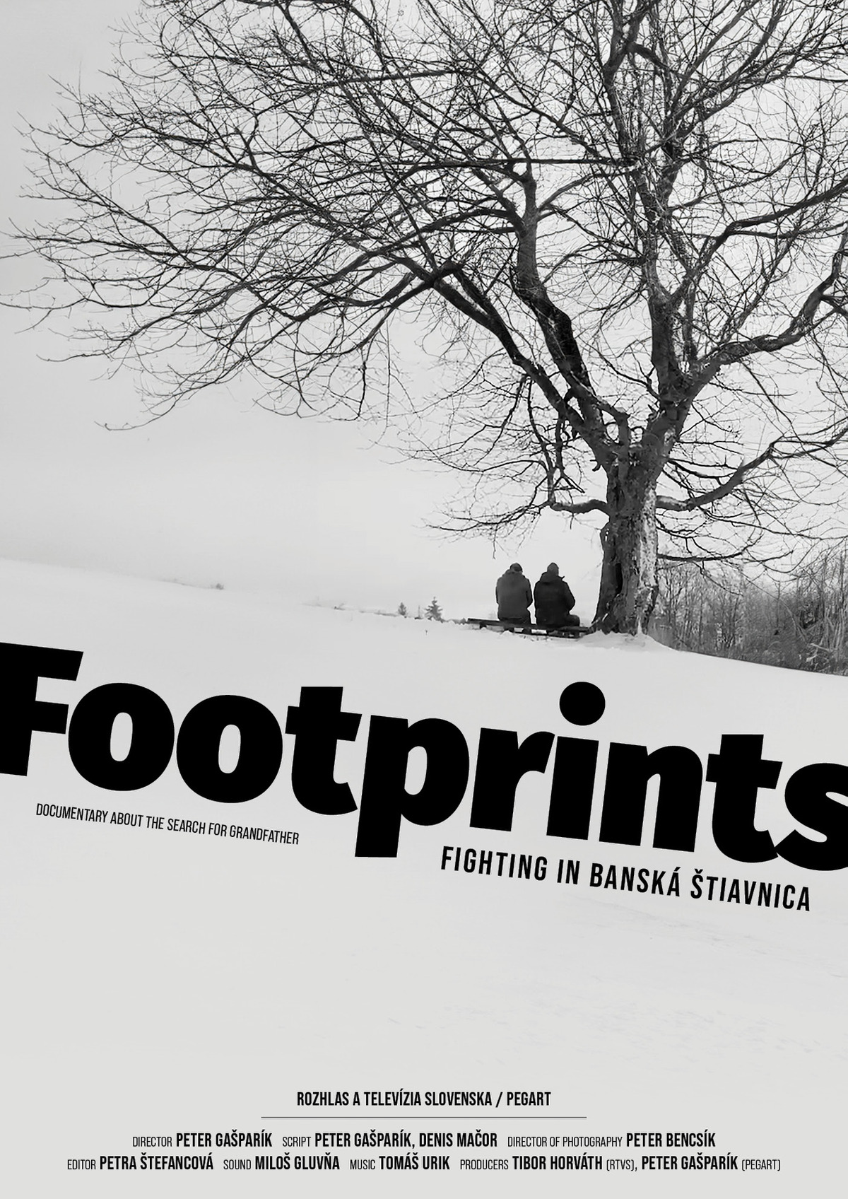 Footprints - Fights in Banska Stiavnica