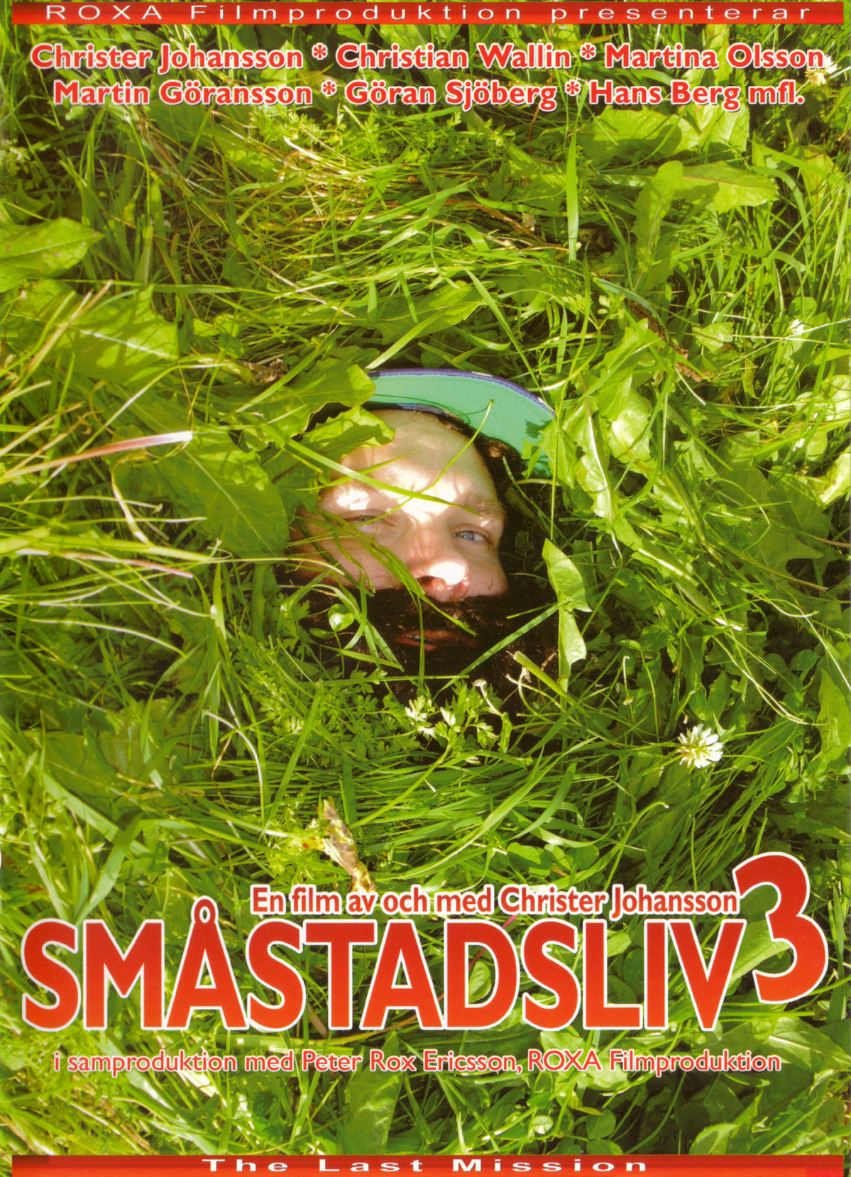 Smastadsliv 3