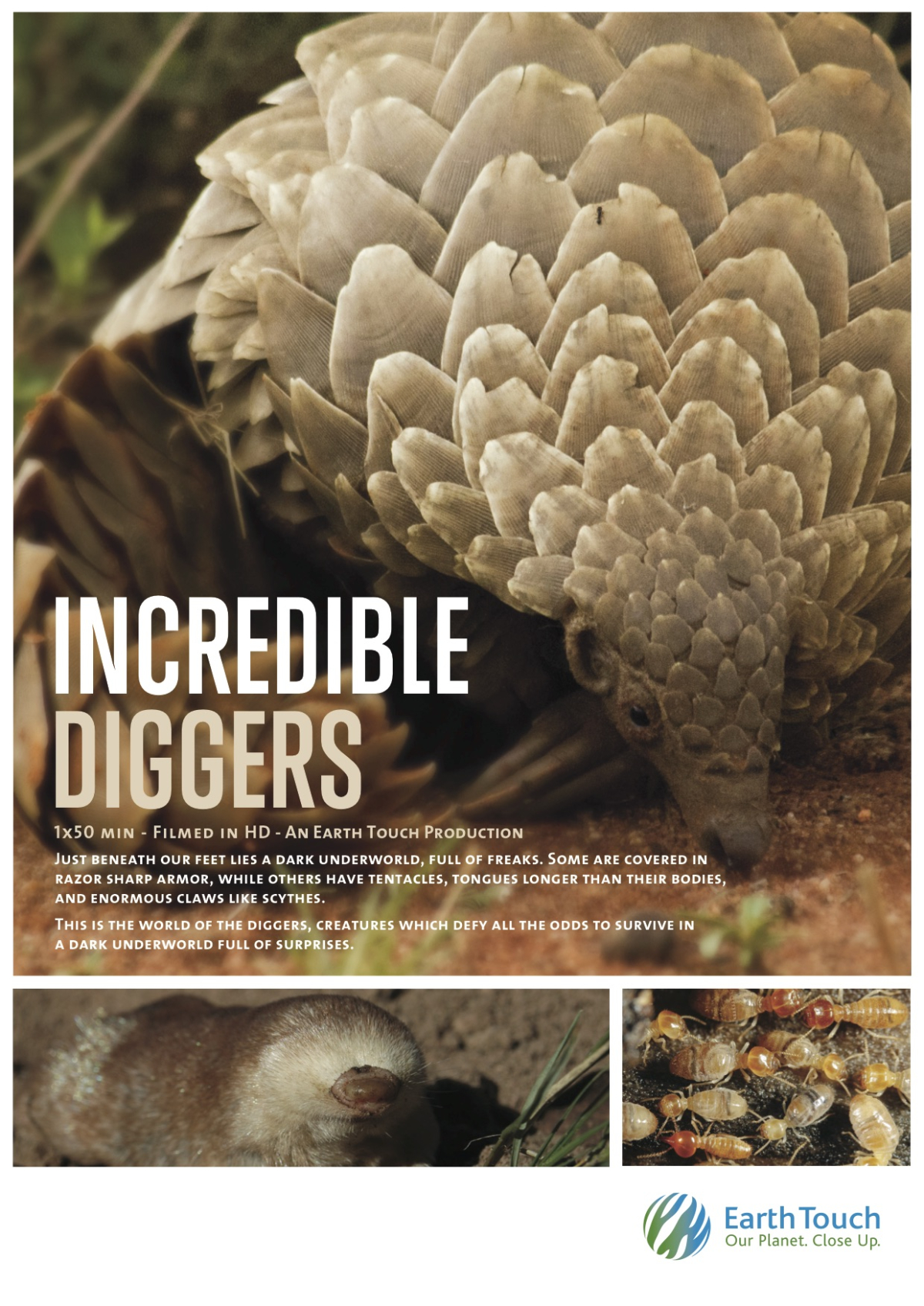 Incredible Diggers