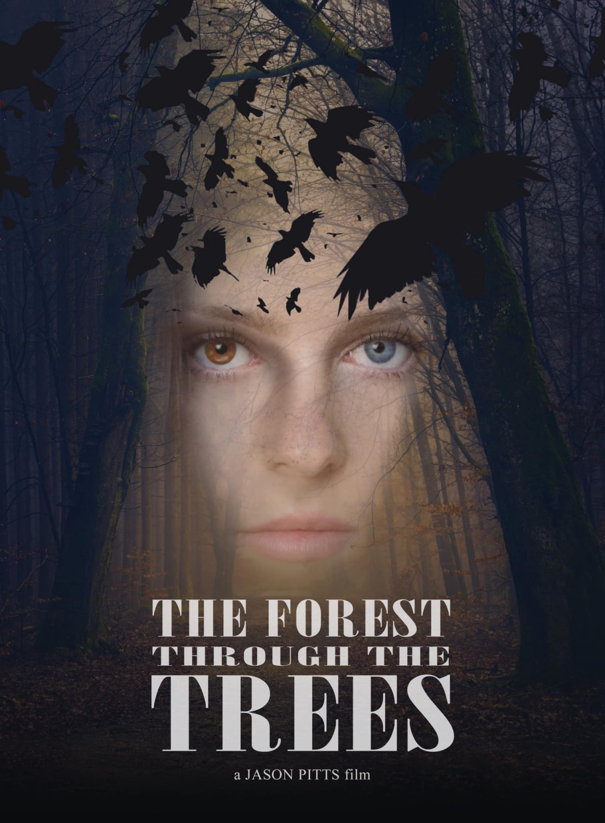 The Forest Through the Trees