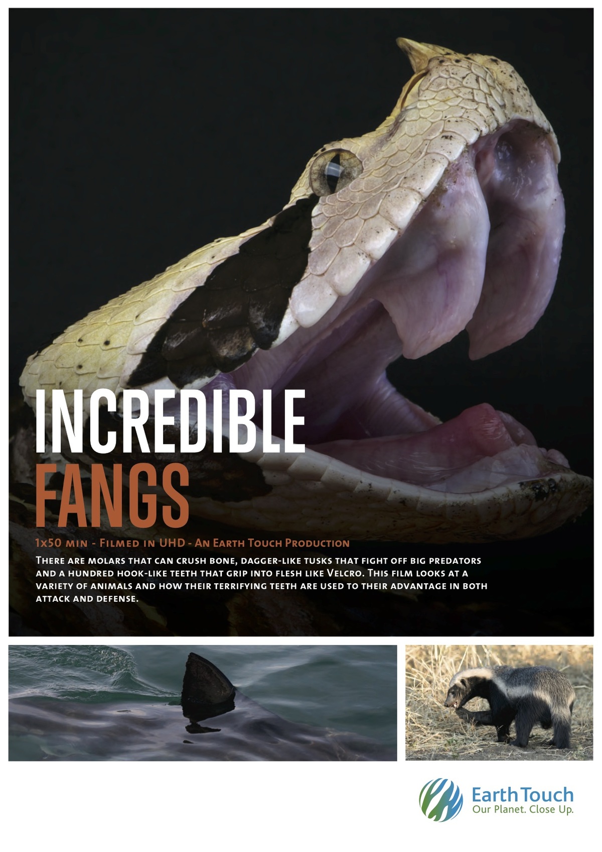 Incredible Fangs
