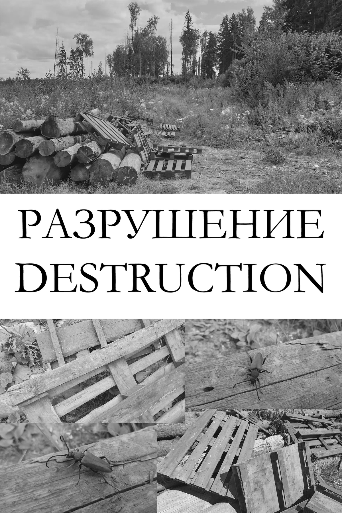 Destruction