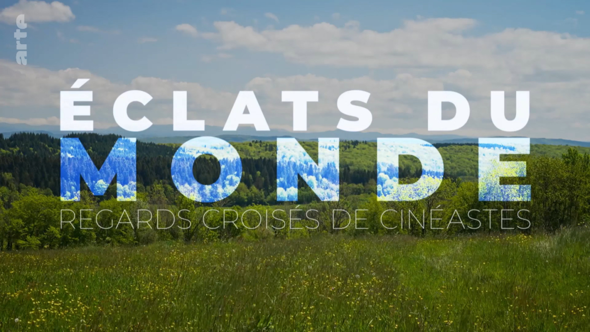 Eclats du monde: regards croises de cineastes