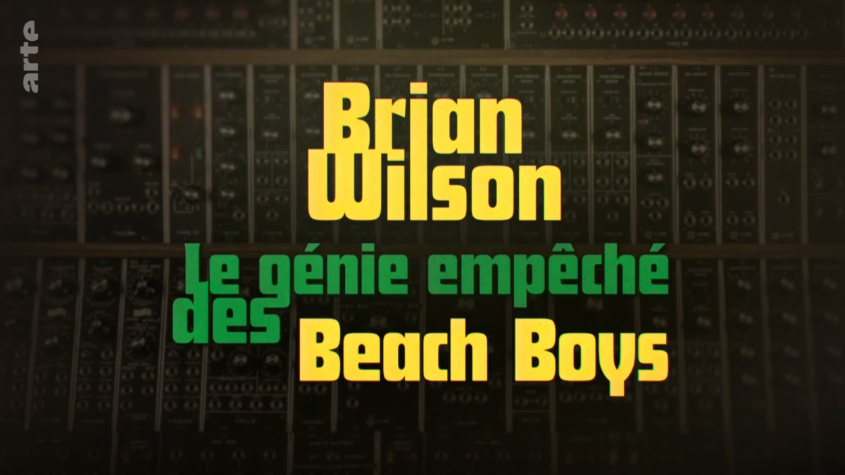 Brian Wilson - Le genie empeche des Beach Boys