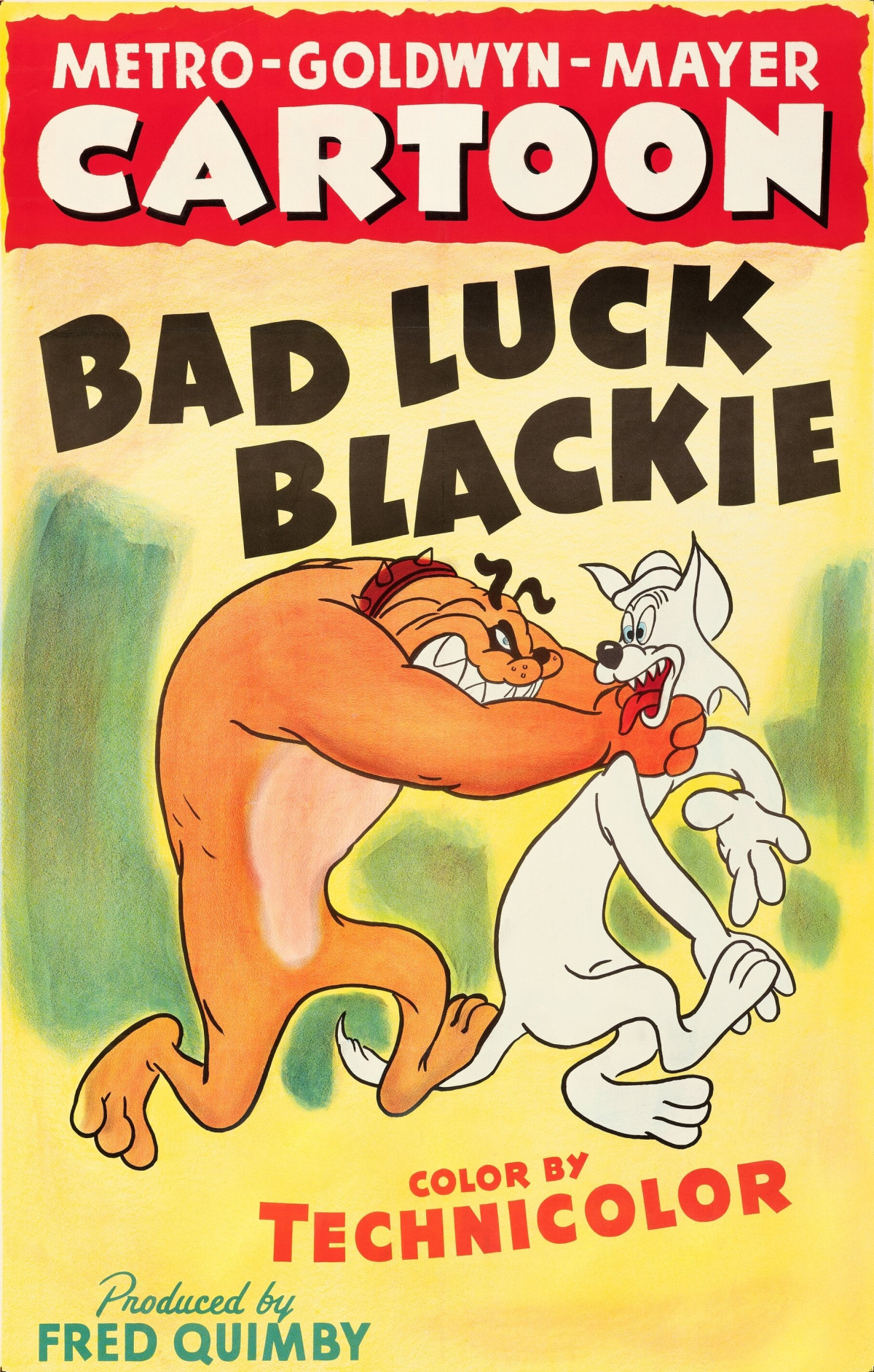 Bad Luck Blackie