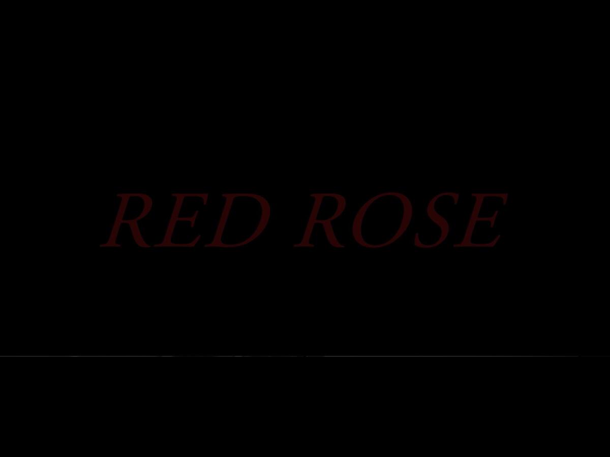 Red Rose