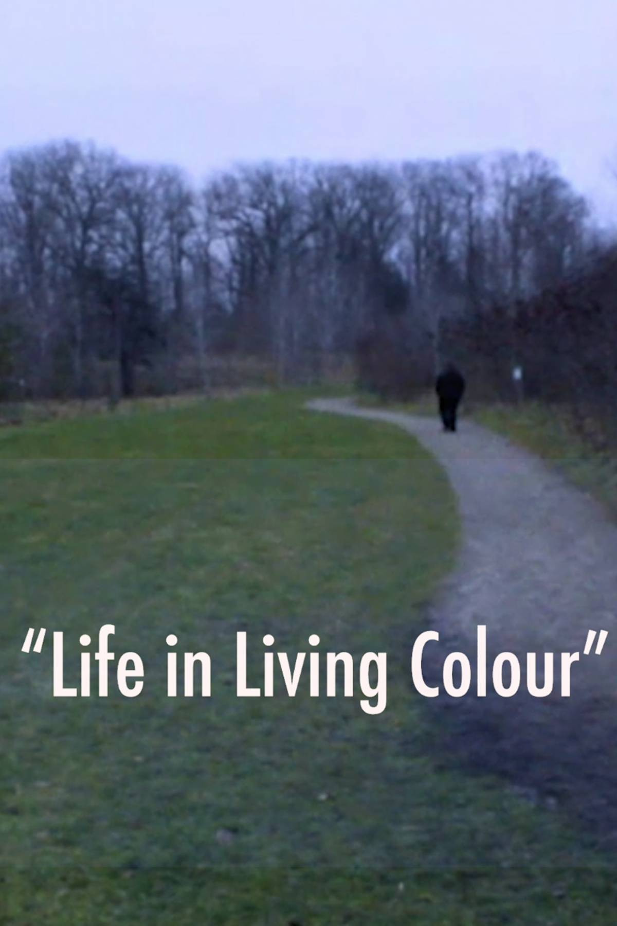 Life in Living Colour
