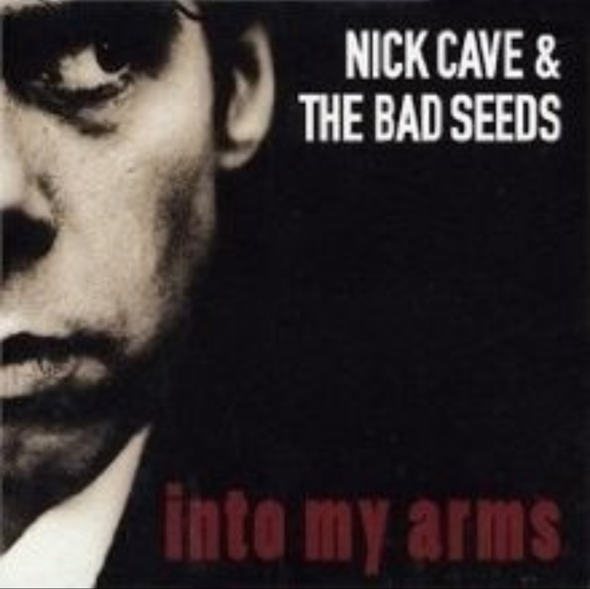 Nick Cave & the Bad Seeds: Into My Arms