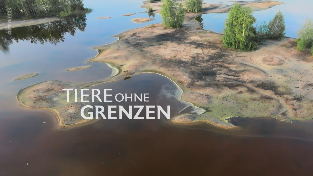 Tiere ohne Grenzen
