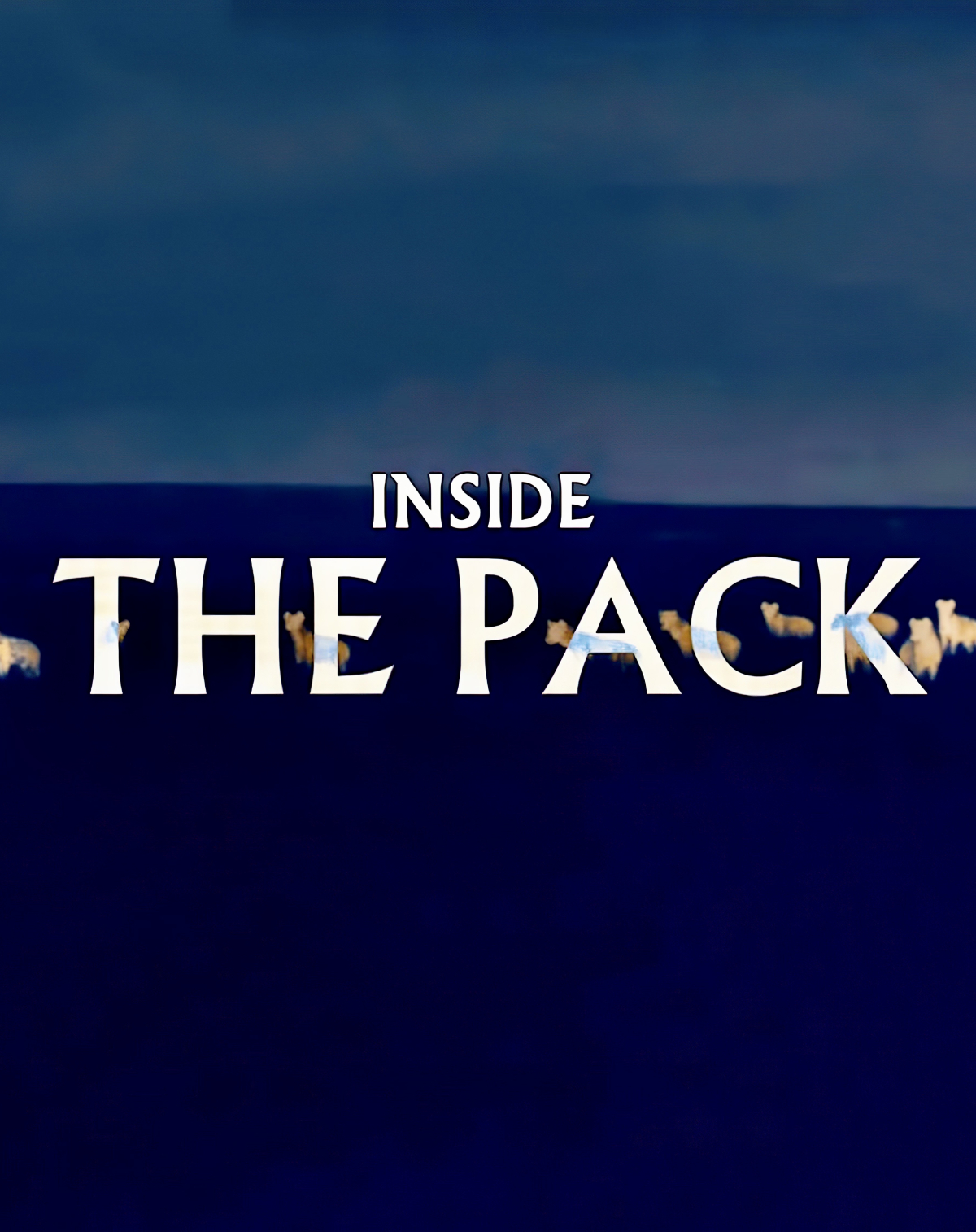 Inside the Pack