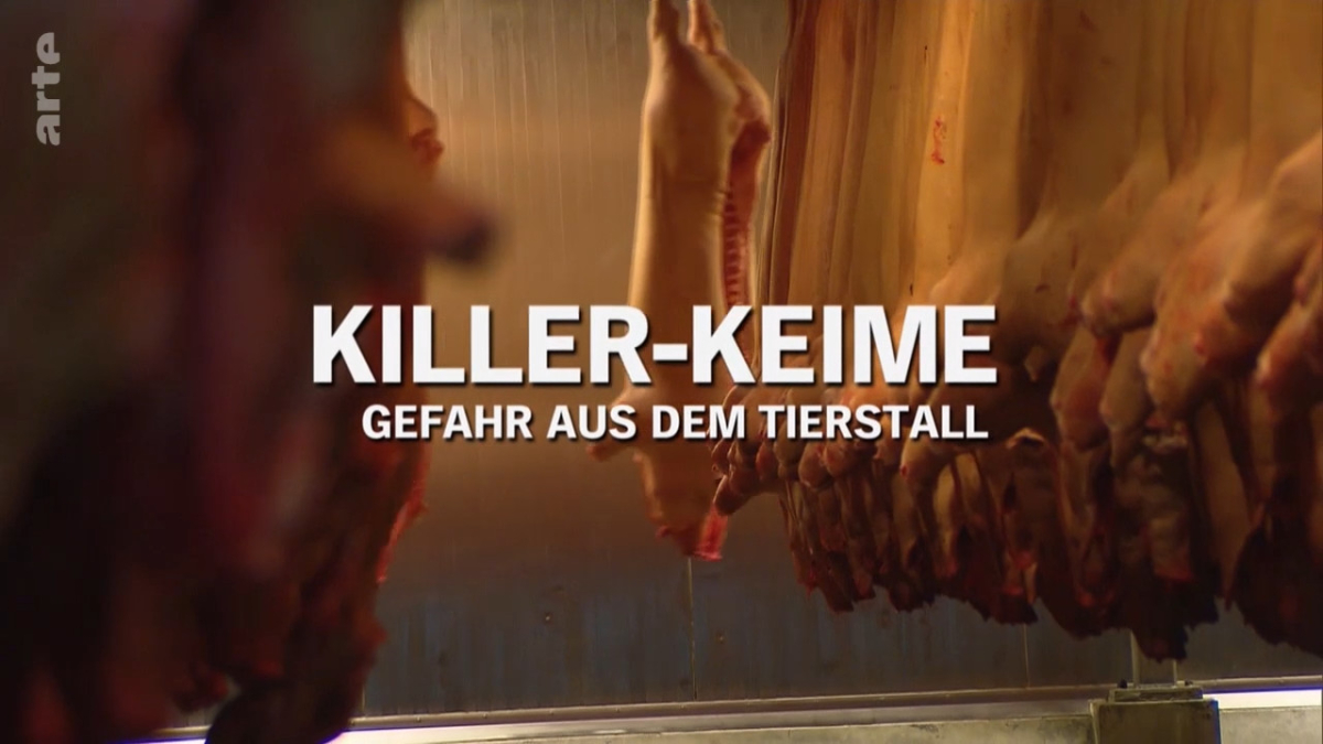 Killer-Keime - Gefahr aus dem Tierstall