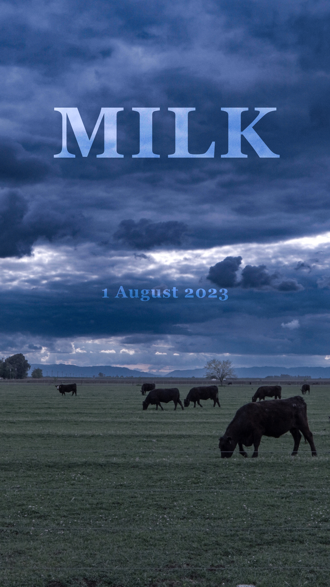 Milk