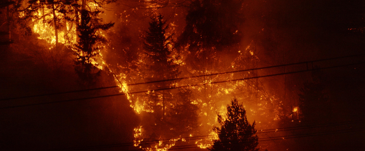 Climate Change - The Final Cut
