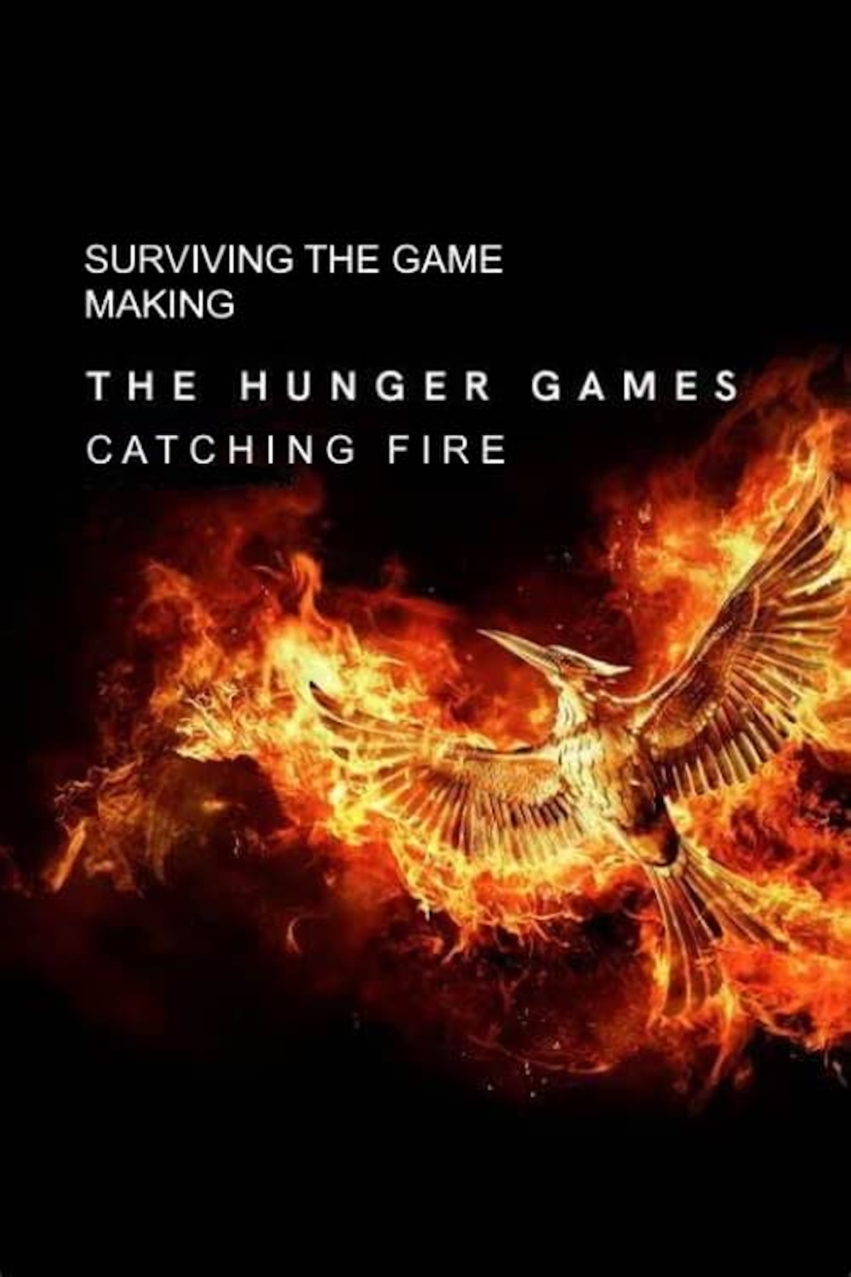 Surving the Game: Making Catching Fire