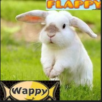 Flappywappy