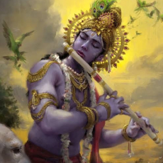 Krishna1337