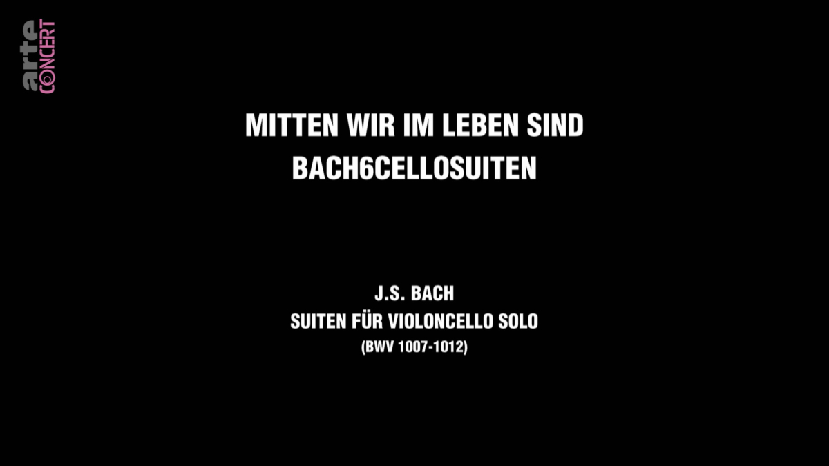 Dialog mit Bach