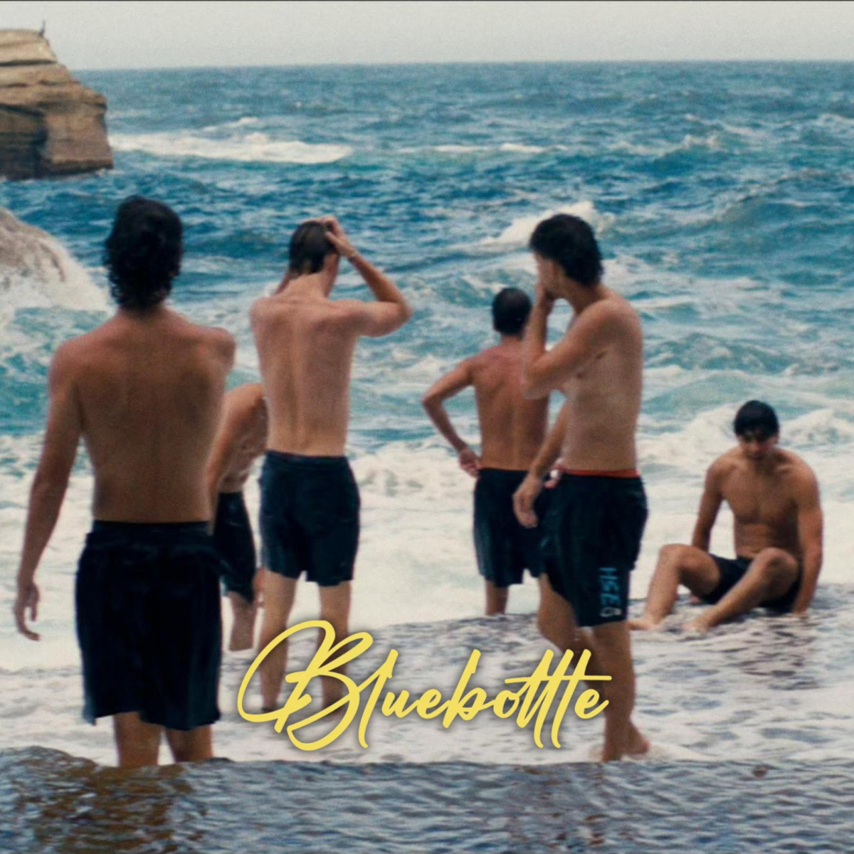 Bluebottle