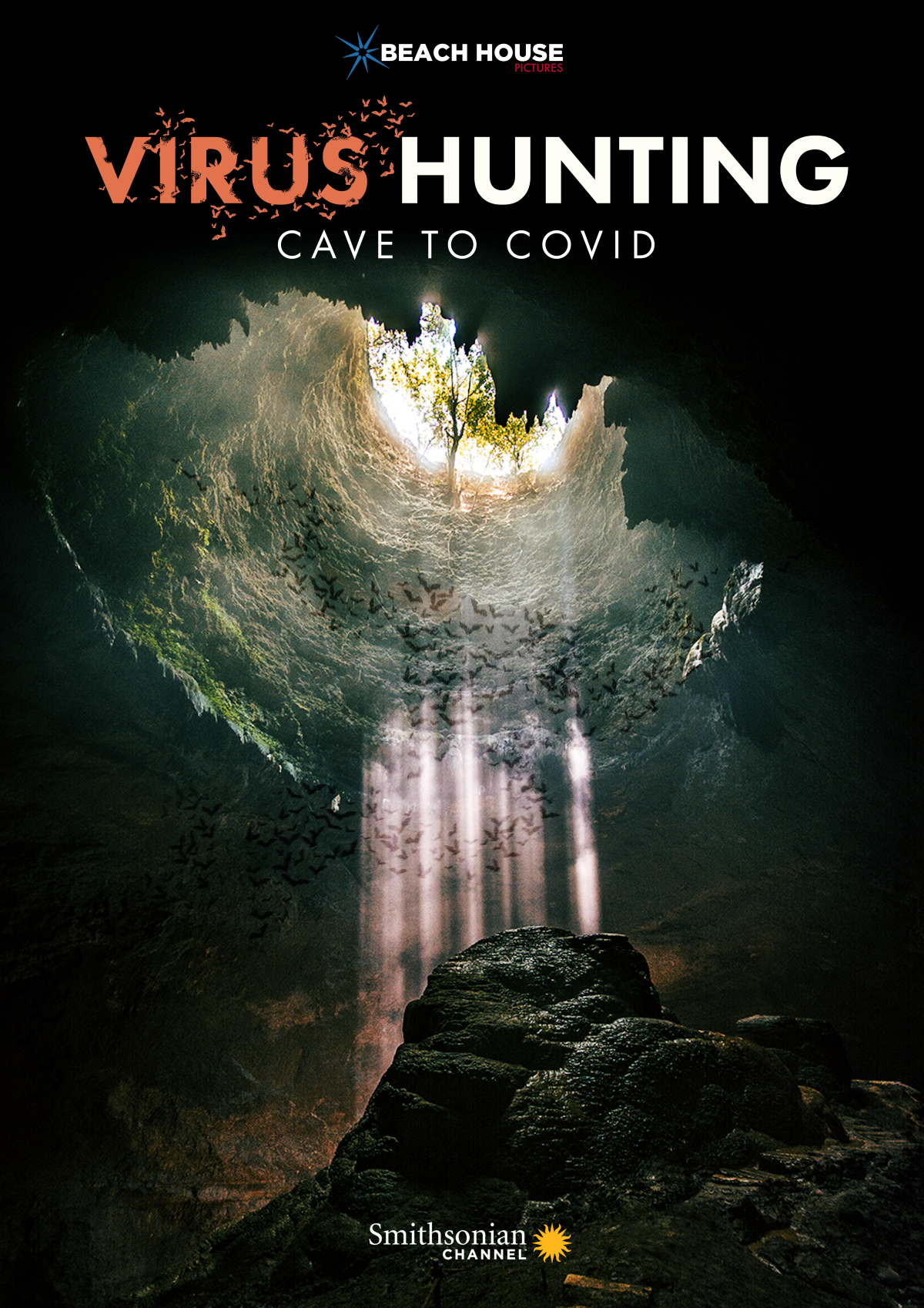 Virus Hunting: From Cave to Covid