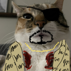 FattestCat