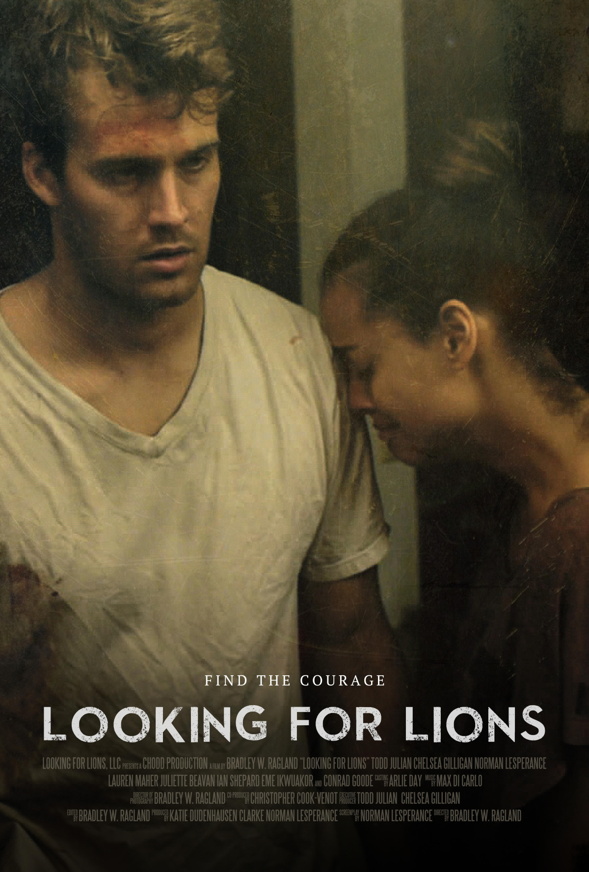 Looking for Lions