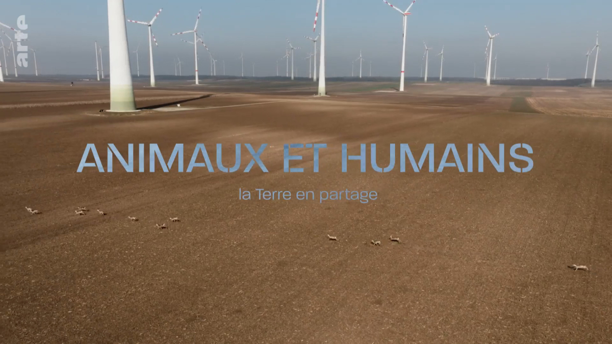 Wildnis 2.0 - Die Tierwelt auf Umwegen