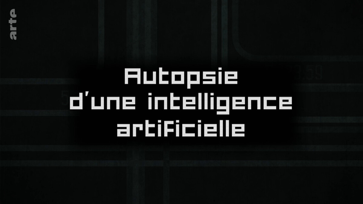 Autopsie d'une Intelligence artificielle