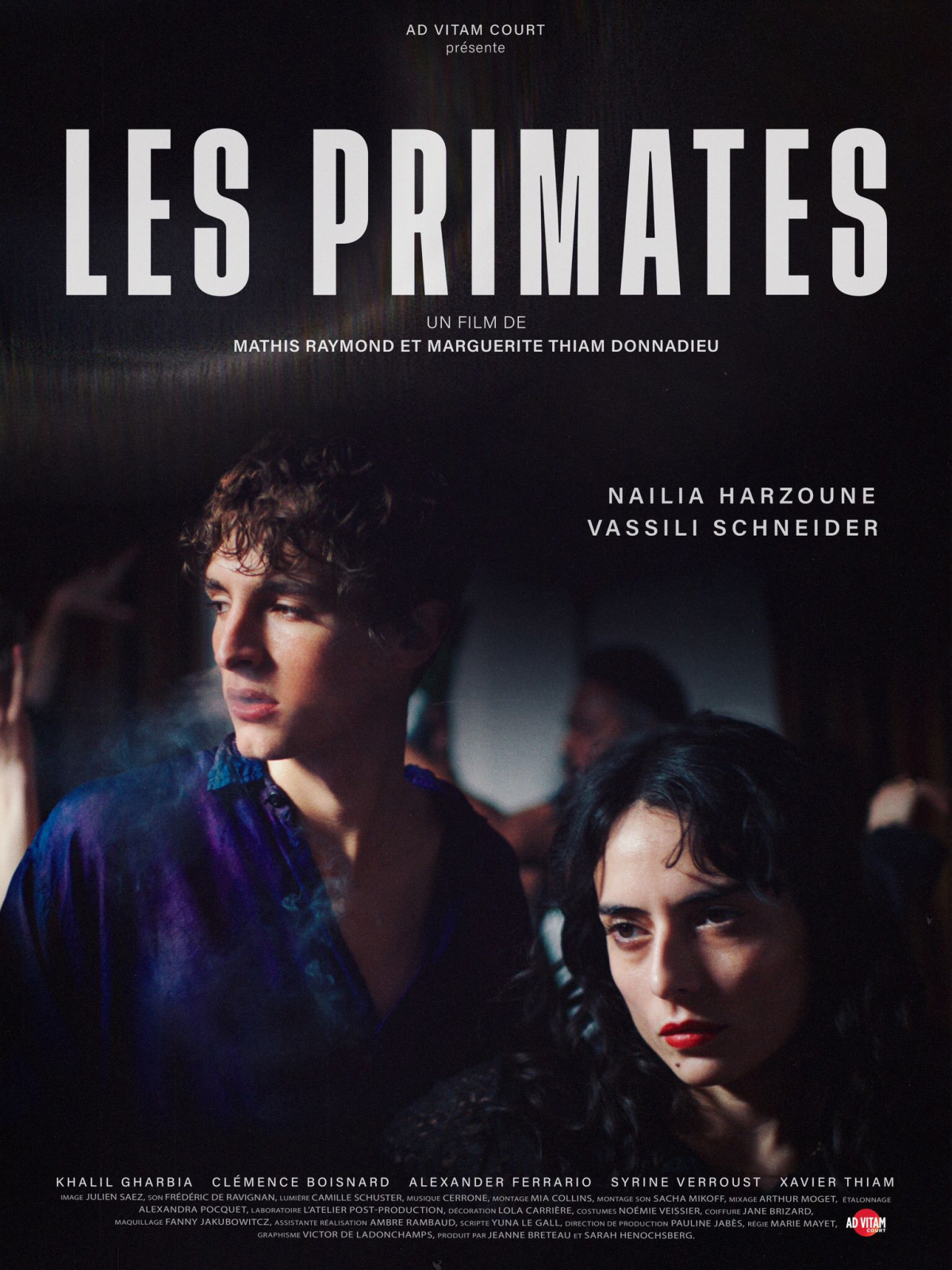 Primates
