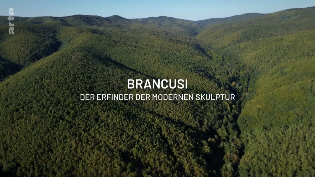 Brancusi: les metamorphoses de la sculpture
