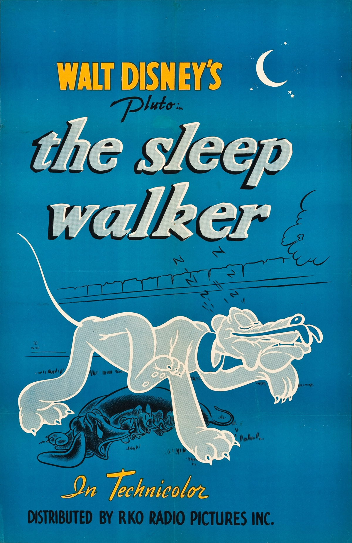 The Sleep Walker
