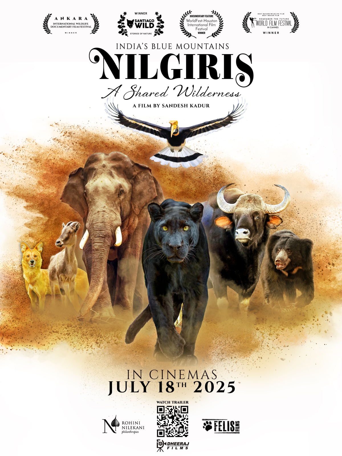 Nilgiris: A Shared Wilderness
