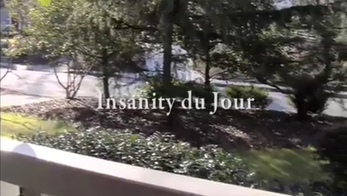 Insanity du Jour