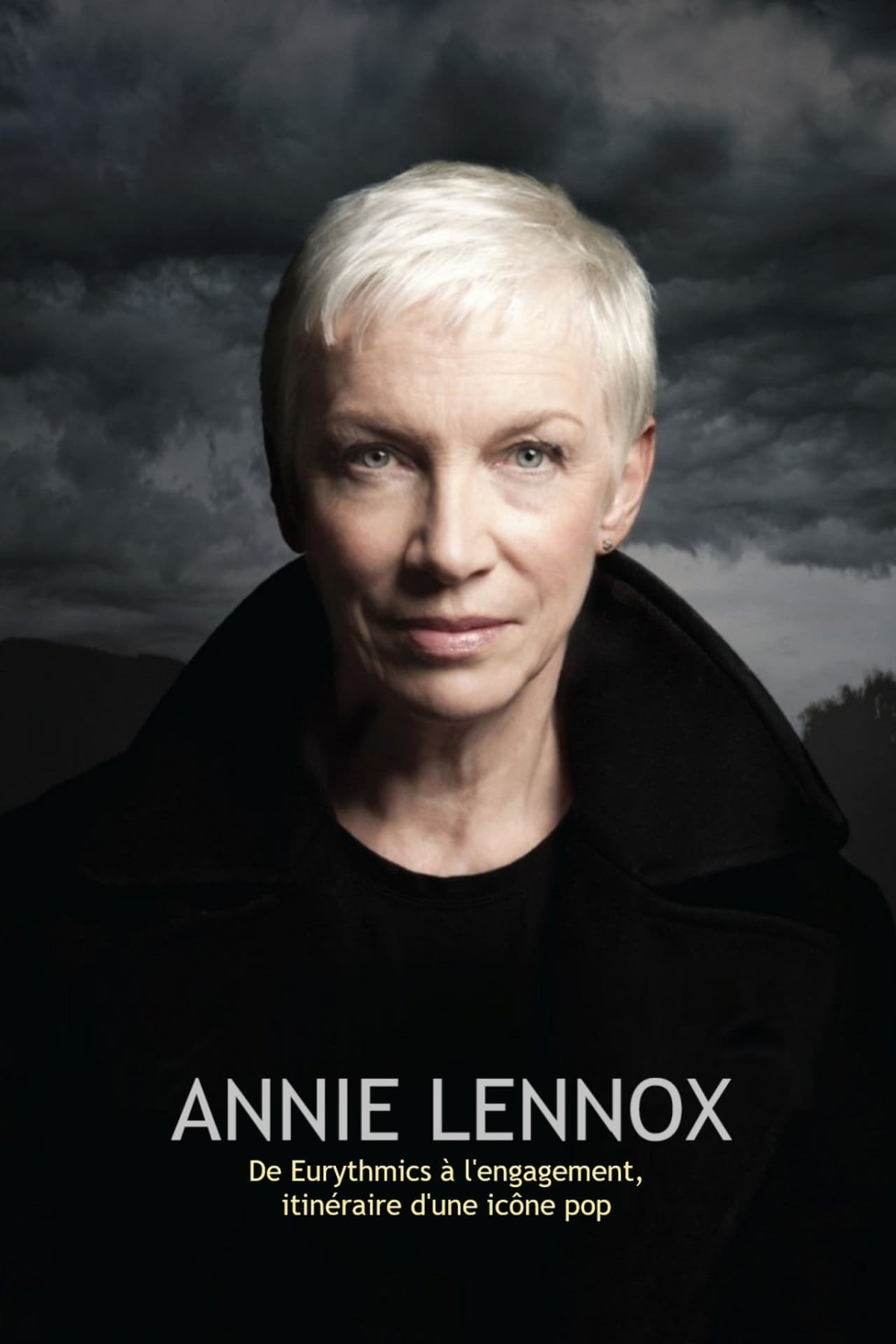 Annie Lennox - De Eurythmics a l'engagement, itineraire d'une icone pop