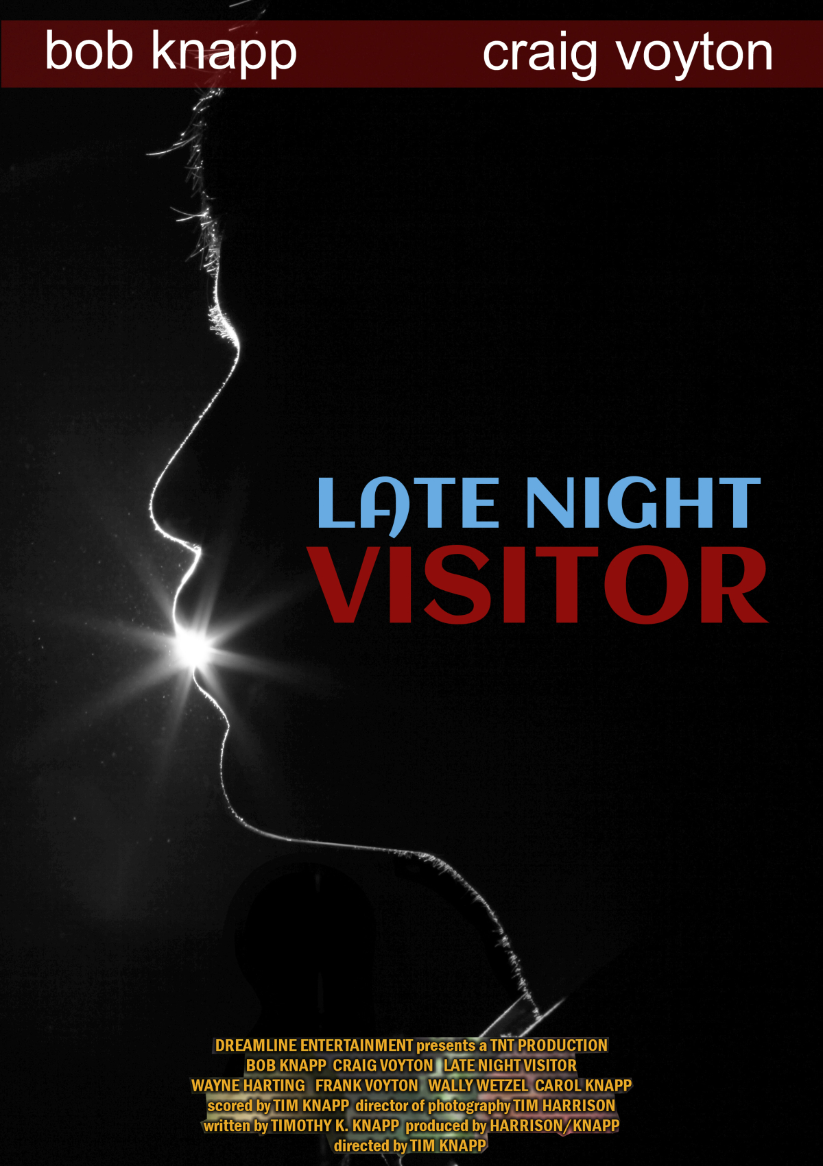 Late Night Visitor