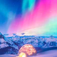 A_Borealis