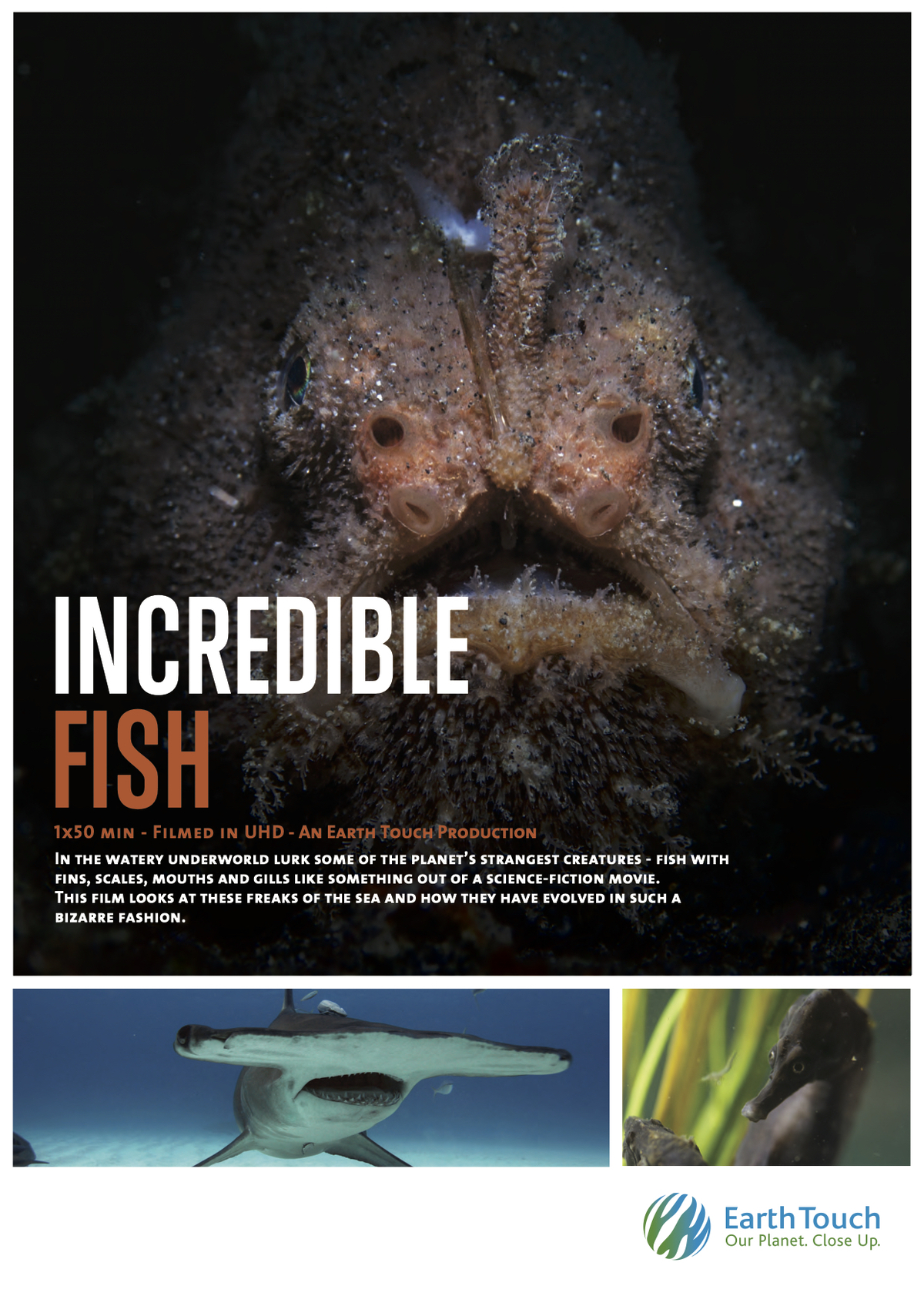 Incredible Fish