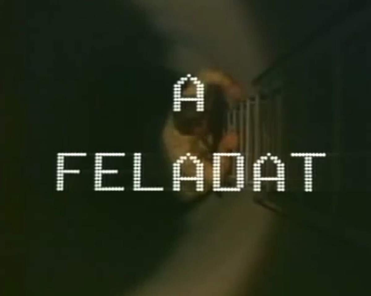 A feladat