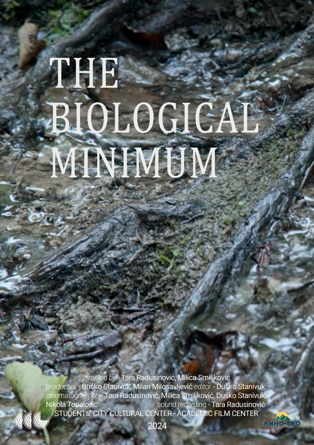 The Biological Minimum