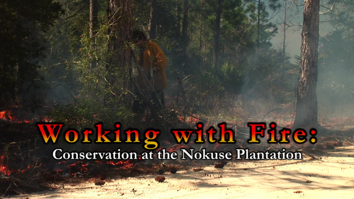 Working with Fire
