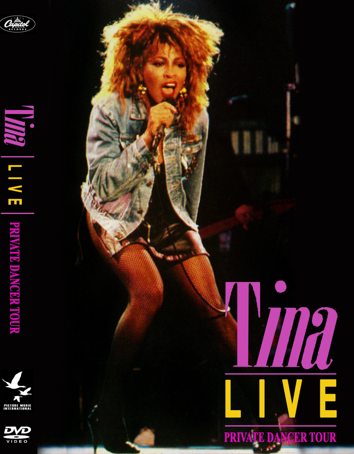 Tina Turner: Private Dancer