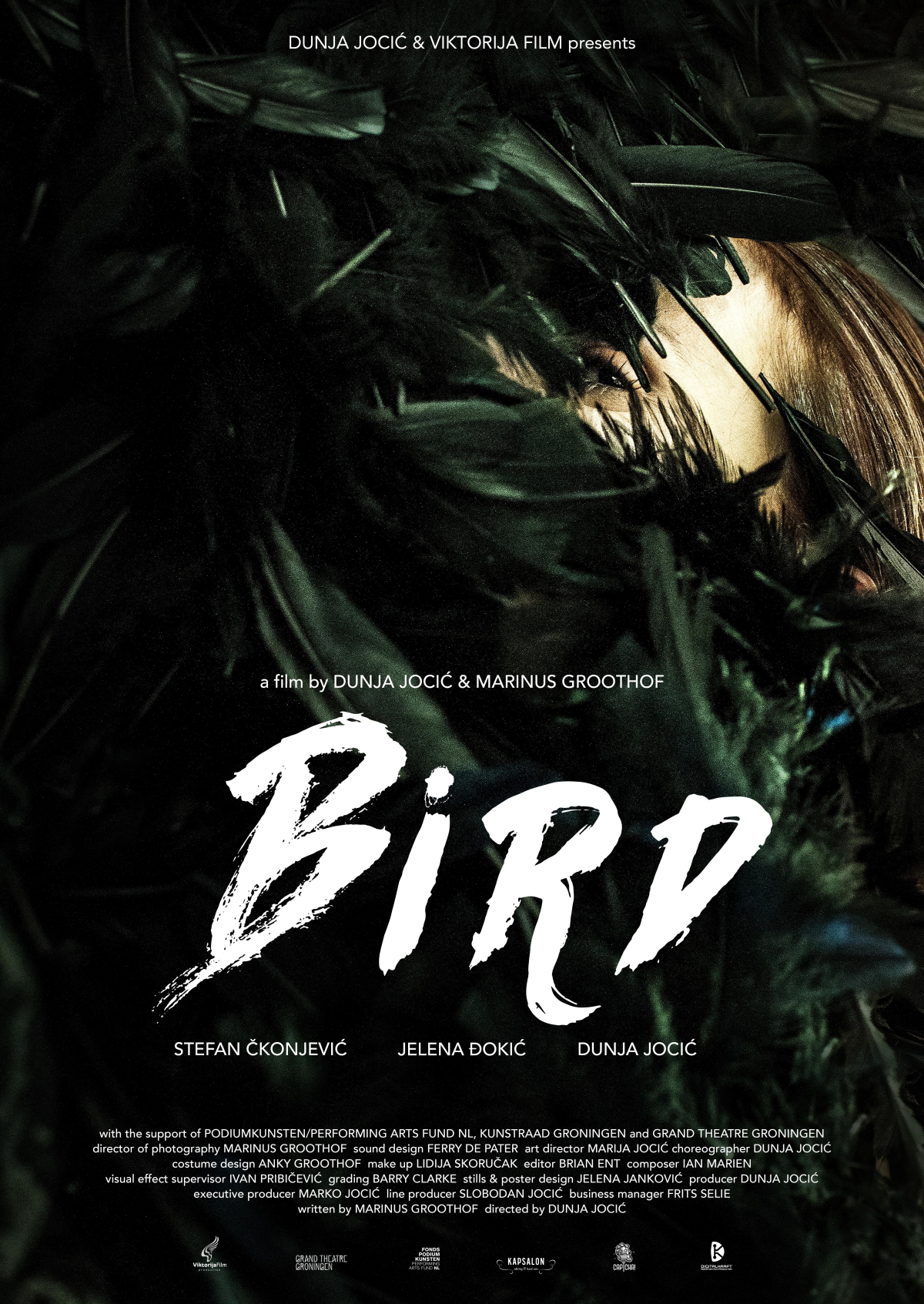 Bird
