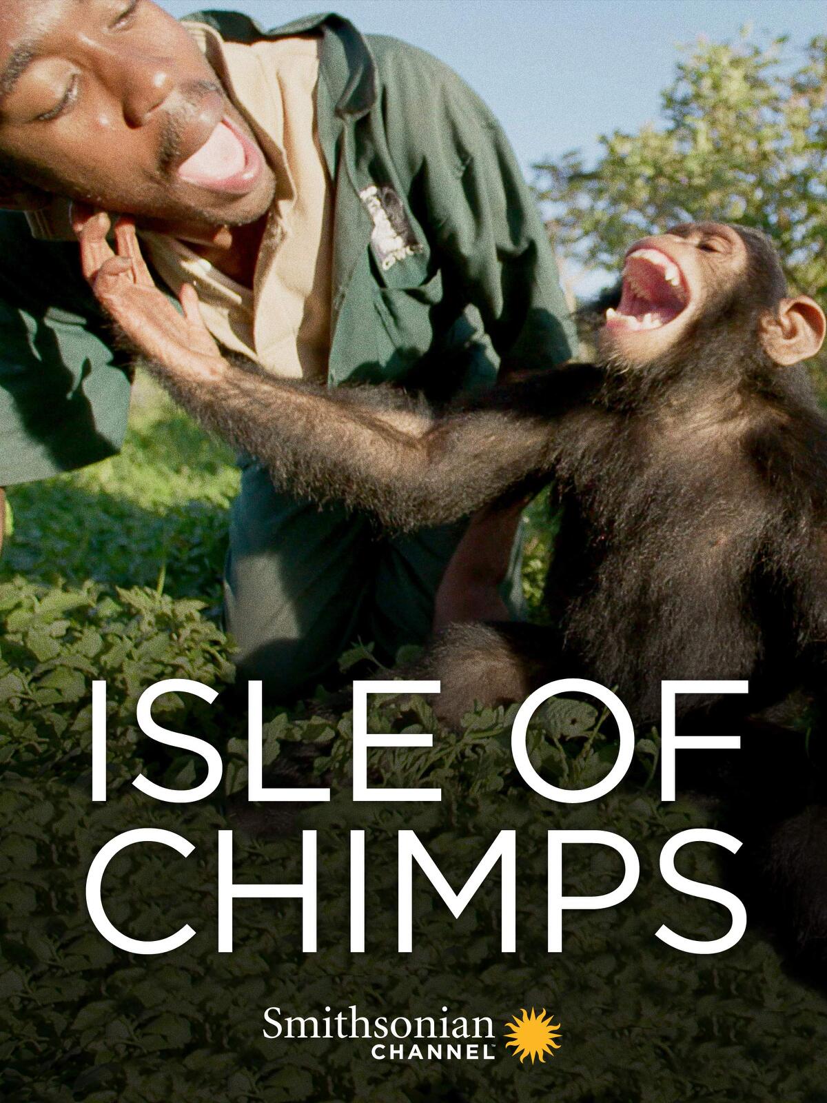 Isle of Chimps