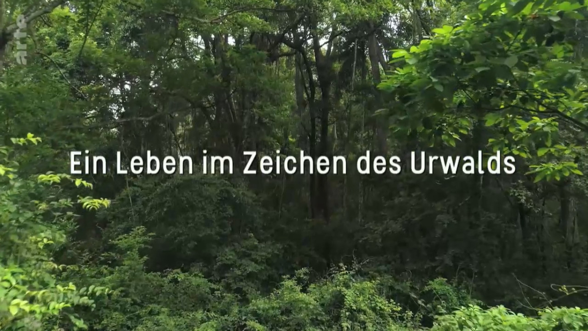 Une vie en foret